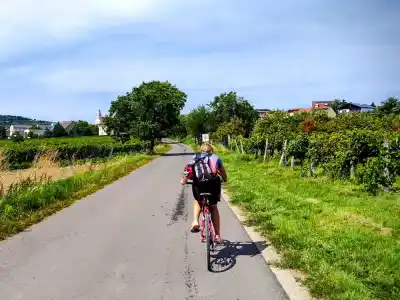 Cyklotrasa Neziderské jazero