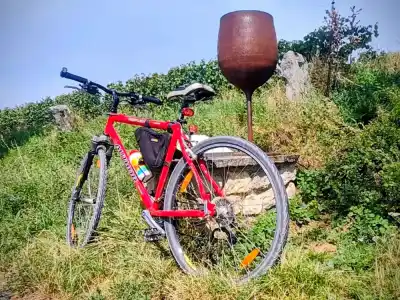 Cyklotrasa Neziderské jazero