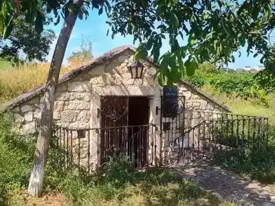 Vinice Neziderské jazero