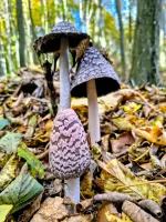 Turistika Malé Karpaty