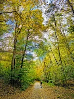 Turistika Malé Karpaty