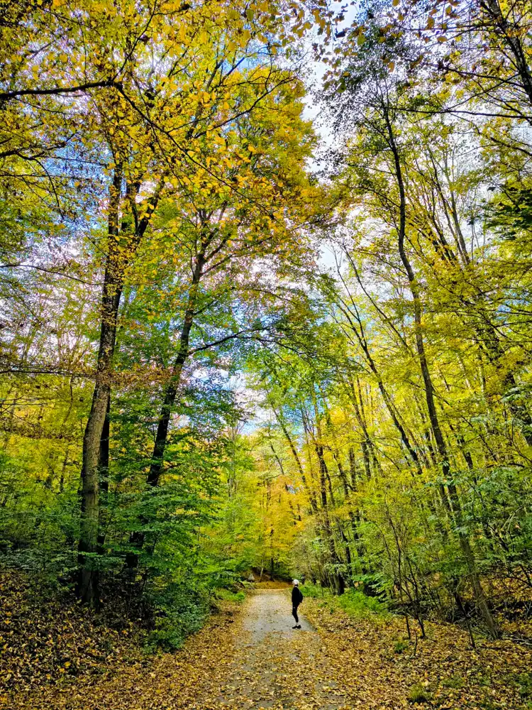 Turistika Malé Karpaty