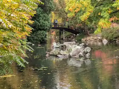 Poézia japonských záhrad