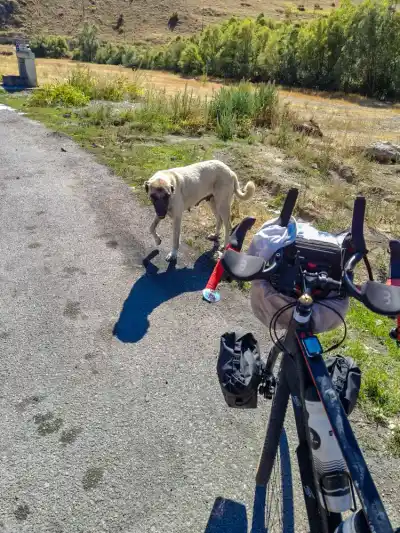prekážky a mínové polia na ceste