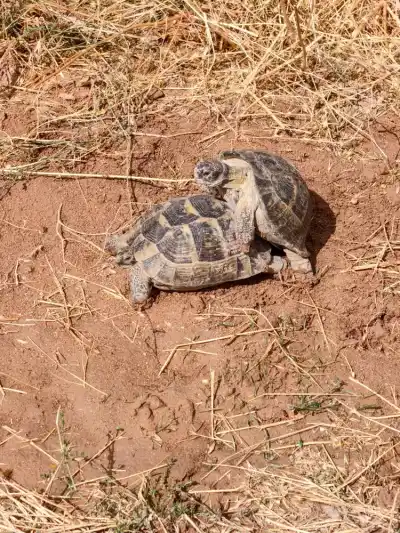 keď som stratil stan