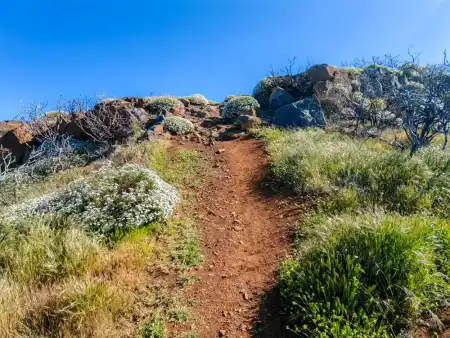 Výstup plný kvetov