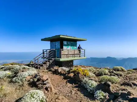 Strážna požiarna veža