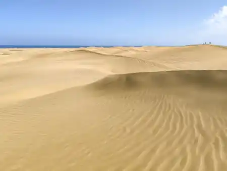 Duny Maspalomas