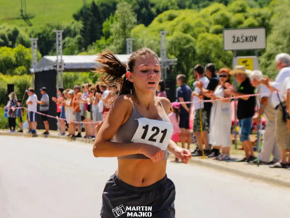 Žaškov minimaraton