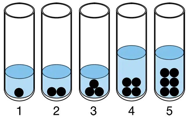 Klokan 2026 Talentida