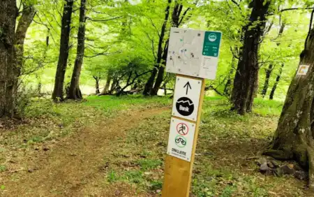 MTB singletrail Baník