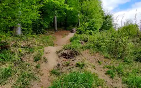 MTB singletrail Baník