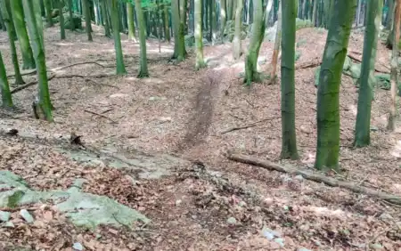 MTB Singletrail Banské