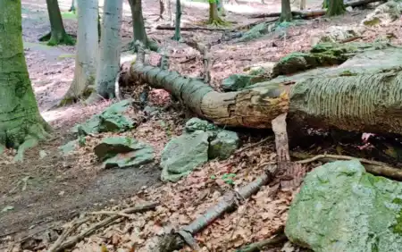 MTB Singletrail Banské