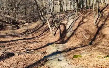 MTB singletrail Baťkuf járek