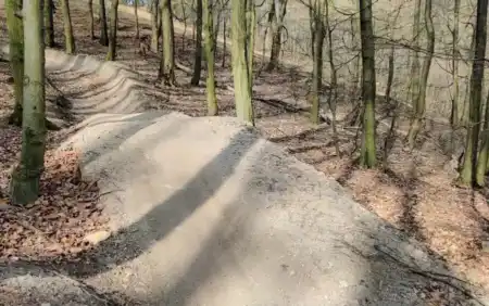 Blue trail singletrail