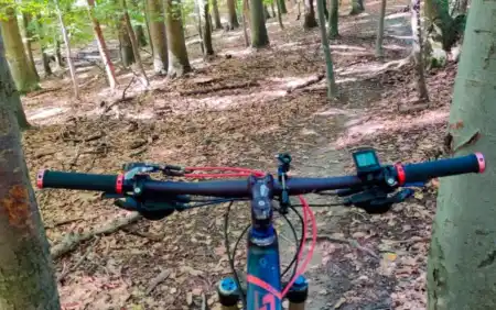 MTB singletrail GuDa