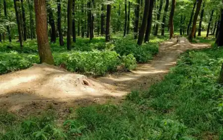 MTB singletrail Krivé Jarky