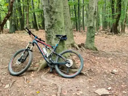 MTB singletraily Stupava, Lozorno