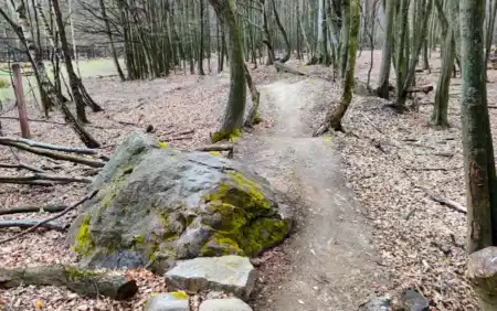 MTB singletrail Močiarna