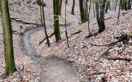 MTB singletrail Močiarna