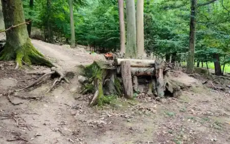 MTB singletrail OHEK