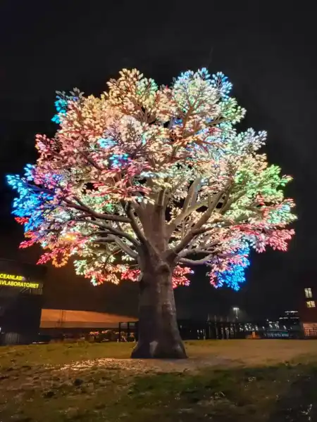 Večerné centrum Oslo