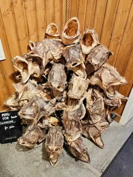 Prístavná dediinka Reine