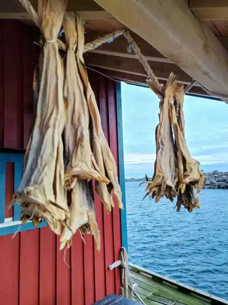 Prístavná dediinka Reine