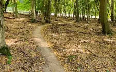 MTB Singletrail Saláma