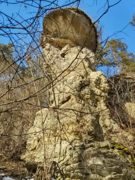 Markušovský skalný hríb