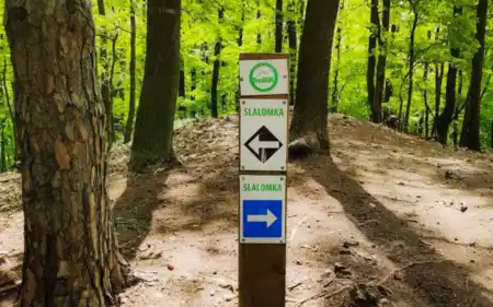 Slalomka MTB singletrail