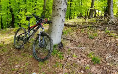Slalomka MTB singletrail