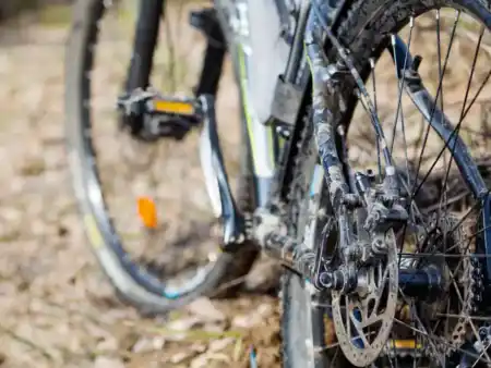 MTB singletraily okolo Smoleníc a Bukovej