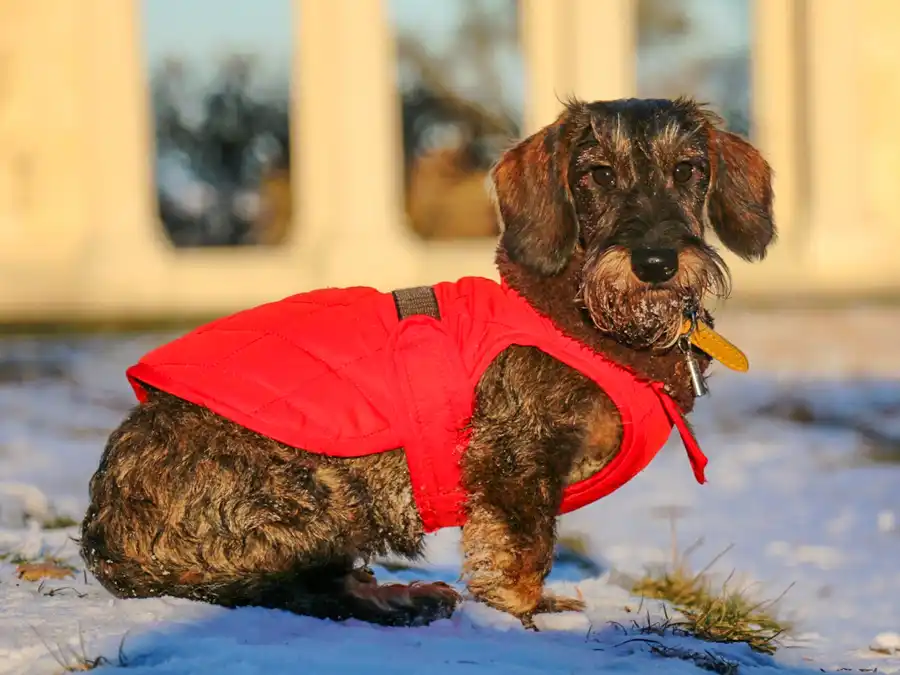 Náš nový turistický parťák Fantina