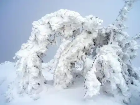 Zimná krása Nízkych tatier (Lajštroch)