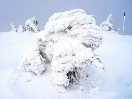 Zimná krása Nízkych tatier (Lajštroch)