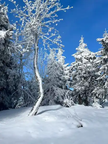 Kubínska hoľa v zime