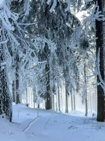 Zimný turistický výstup zo Zázrivej