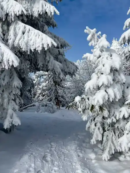 Zimný turistický výstup zo Zázrivej