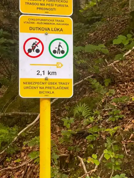 Trasa cez ťažbu v lese