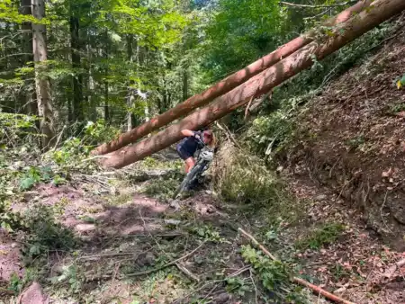 MTB Čutkovskou dolinou