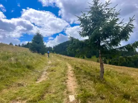 MTB Čutkovskou dolinou