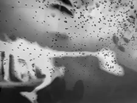 MWW vroclav Vertikálny labyrint umenia