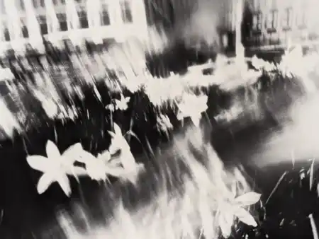 MWW vroclav Vertikálny labyrint umenia