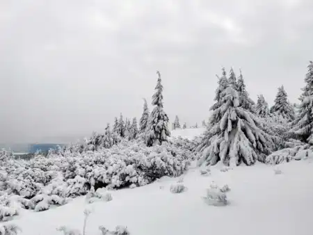 Zimné krásy Oravských Beskýd