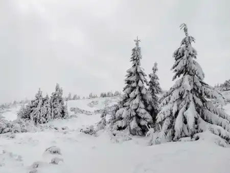 Zimné krásy Oravských Beskýd
