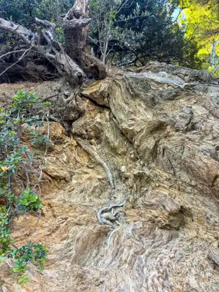 Vrásnenie horník na skalnej vyhliadke