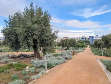 SBFCC terasy záhradné