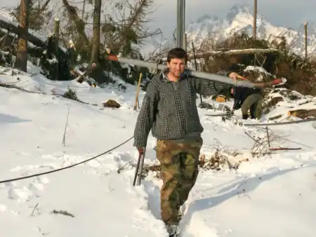 Lesáci spracúvaju tatranskú kalamitu 2004